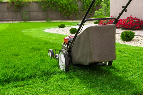 Home Yard Maintenance in Smyrna