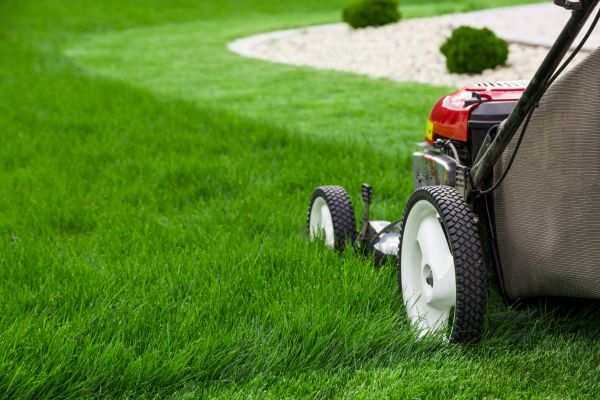 Lawn Cutting Service