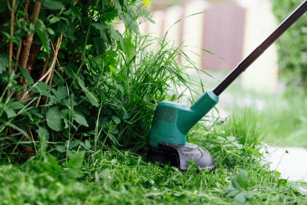 Weed Whacking in Smyrna