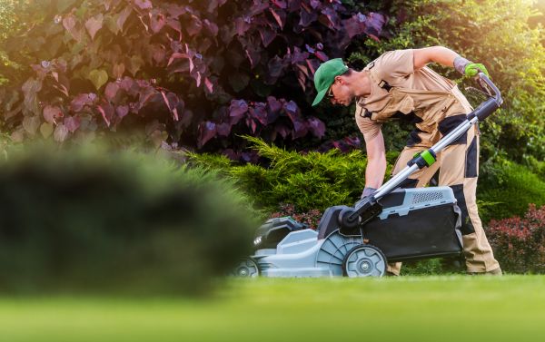 Yard Care Service in Smyrna