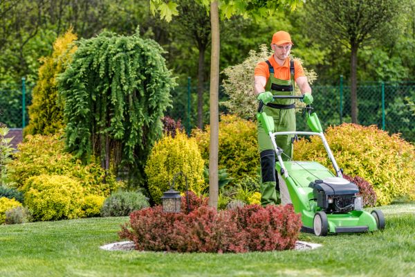 Yard Service in Smyrna