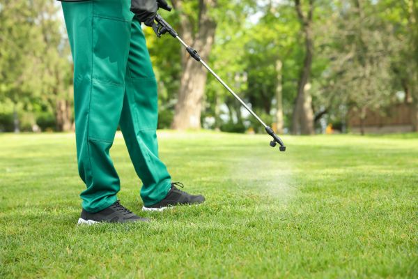 Lawn Pest Control