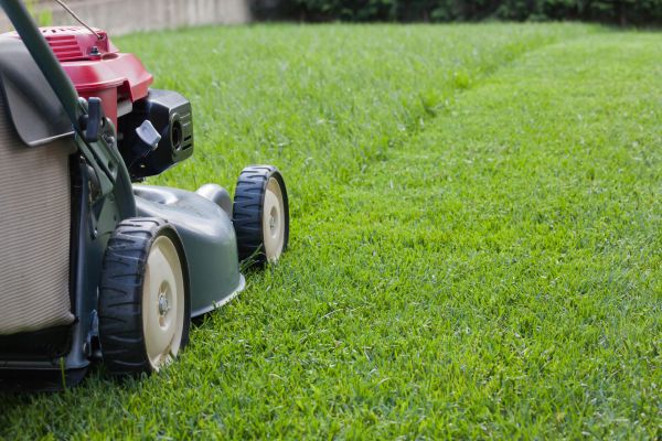 Residential Lawn Care in Smyrna