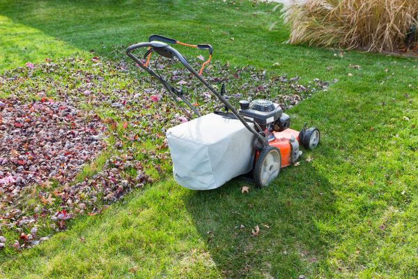 Seasonal Lawn Care Service