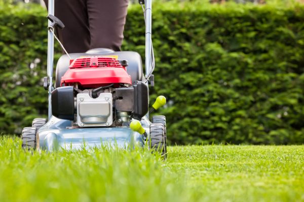 Grass Trimming Service in Smyrna