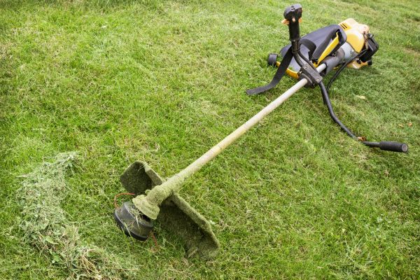 Hillside Weed Whacking in Smyrna