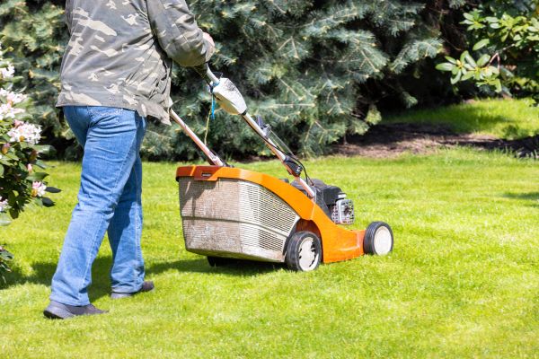 Springtime Lawn Care in Smyrna