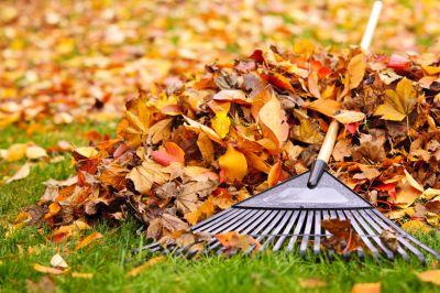 Autumn Leaf Removal
