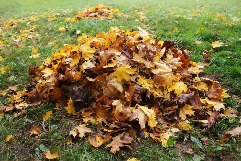 Autumn Leaf Cover