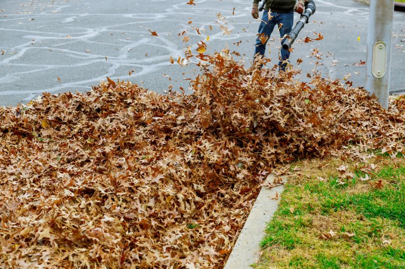 Community Leaf Cleanup