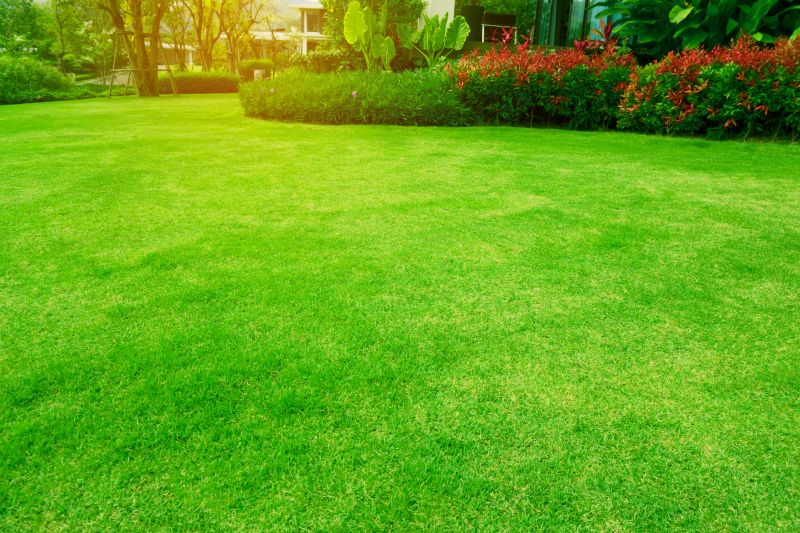 Residential Lawn Service
