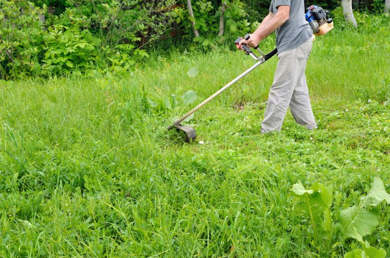 Tall Grass Trimming
